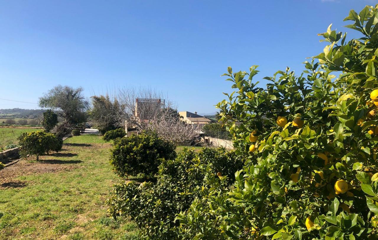 Son Roig ,Beautiful Place In The Heart Of Mallorca -Etv 9979 María de la Salud 외부 사진