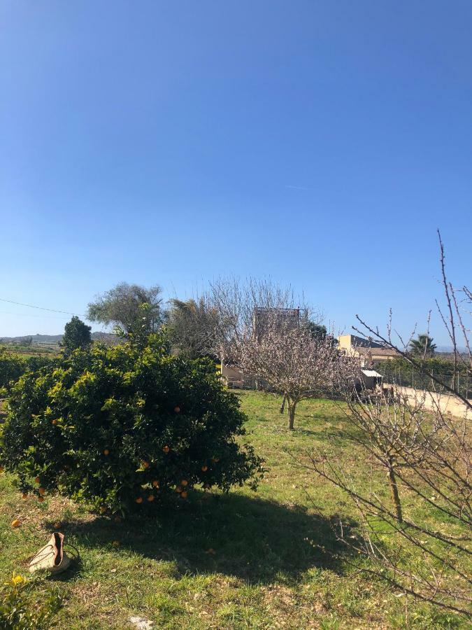Son Roig ,Beautiful Place In The Heart Of Mallorca -Etv 9979 María de la Salud 외부 사진